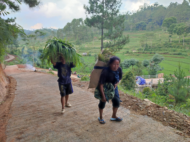 Bangga Dengan Program TMMD ke 113 Kodim 0802/Ponorogo, Tetangga Desa JugaTurut Berpartisipasi