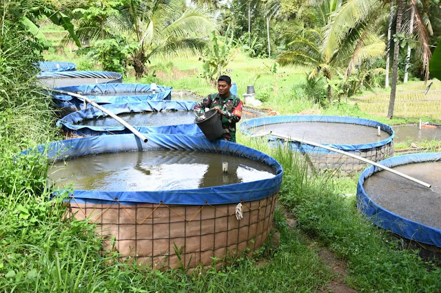 Serma Sudarsono, Babinsa Kreatif Dari Kodim 0802/Ponorogo Yang Sukses Usaha Ternak Lele