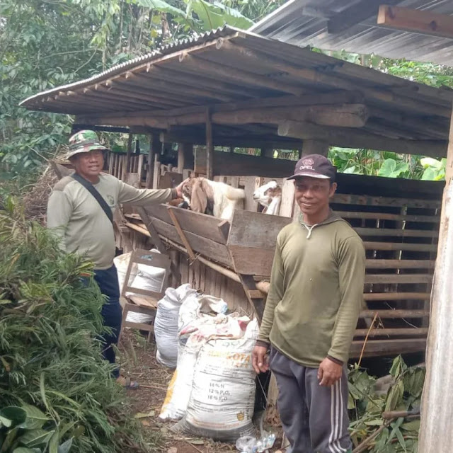 Warga Sukses Ternak Kambing, Anggota Satgas TMMD ke 121 Desa Selur Terinspirasi