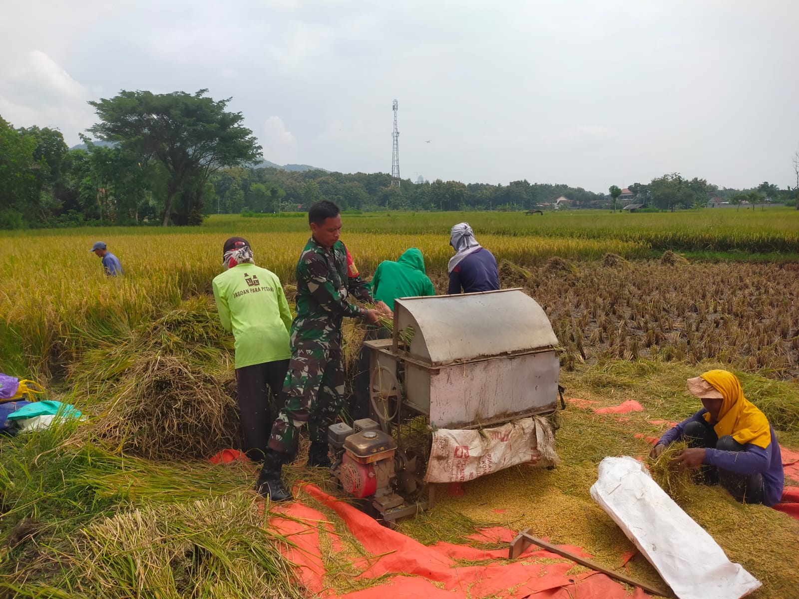 Maksimalkan Sergab, Anggota TNI Kodim Ponorogo terus Dampingi Petani