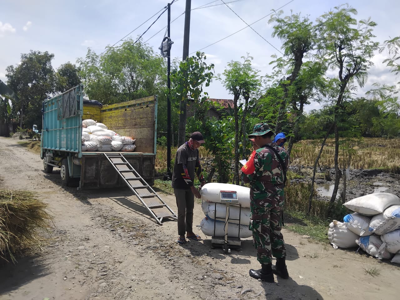 Anggota TNI Kodim Ponorogo Sukseskan Sergab Sejahterakan Petani