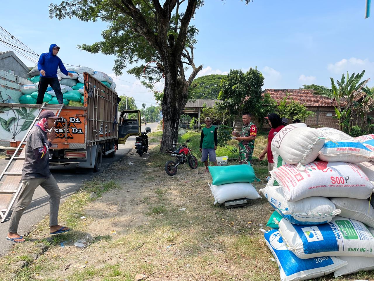 Rutin Pendampingan Sergab, Upaya Anggota TNI Kodim Ponorogo Tingkatkan Kesejahteraan Petani