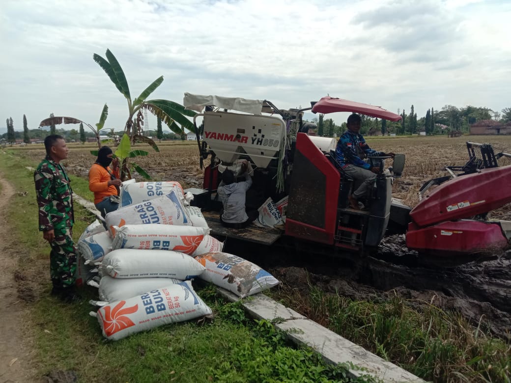 Babinsa Kodim Ponorogo Dampingi Petani Jual Hasil Panen