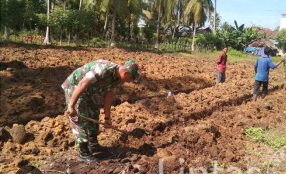 Babinsa Kodim Ponorogo Bantu Petani Cangkul Lahan