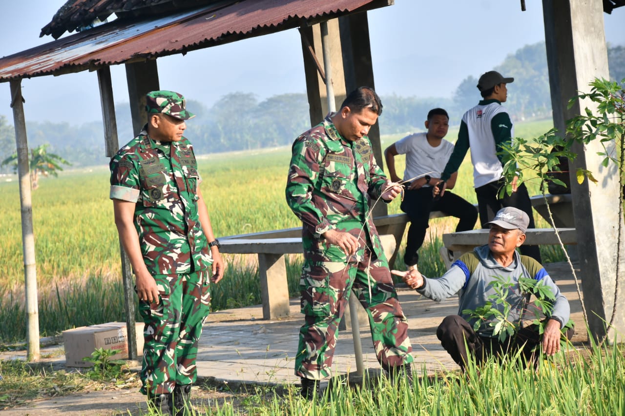 Turut Basmi Wereng Tanaman Padi, Upaya Dandim Ponorogo Sejahterakan Petani