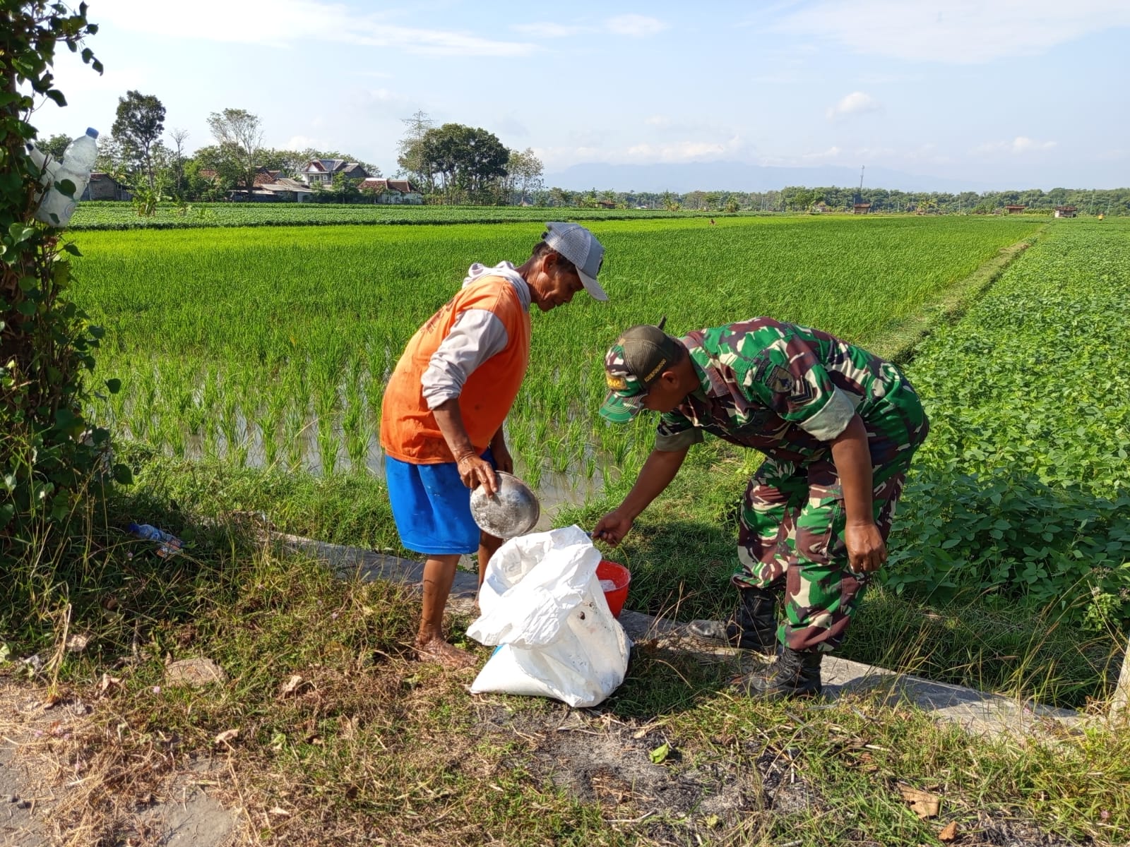 Babinsa Kodim Ponorogo Pendampingan Petani Pupuk Tanaman Padi