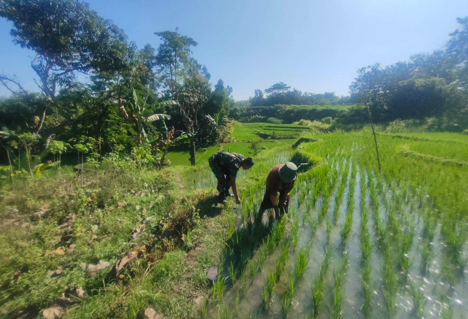 Aktif Pendampingan, Upaya Anggota Ponorogo Sejahterakan Petani