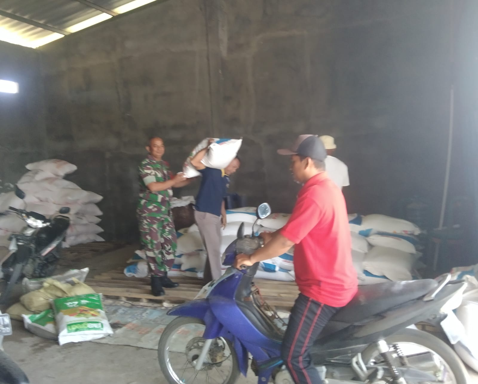 Monitoring Stok Pupuk, Peran Aktif Babinsa Kodim Ponorogo Sejahterakan Petani